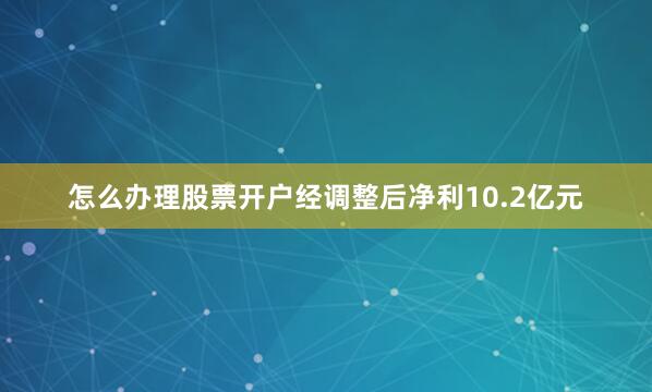 怎么办理股票开户经调整后净利10.2亿元